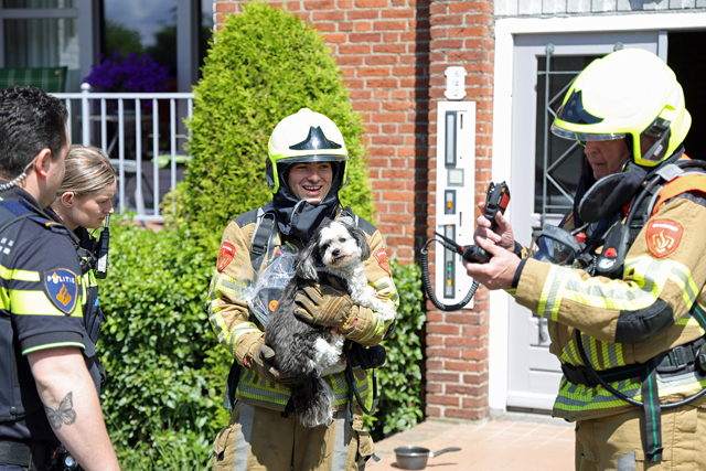 Hondje en vogeltje gered uit woning vol rook aan het Hertog Janpark Waalwijk