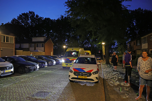 Hulpdiensten rukken uit voor door wesp gestoken man aan de Poelruitstraat Waalwijk