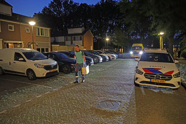 Hulpdiensten rukken uit voor door wesp gestoken man aan de Poelruitstraat Waalwijk