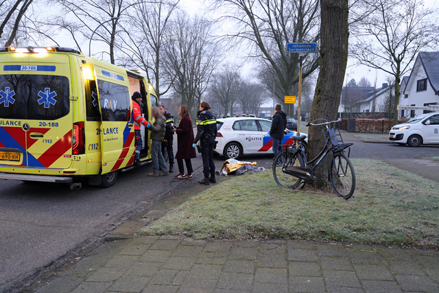 Meisje op fiets raakt gewond bij botsing met auto aan de Frans Halslaan Waalwijk