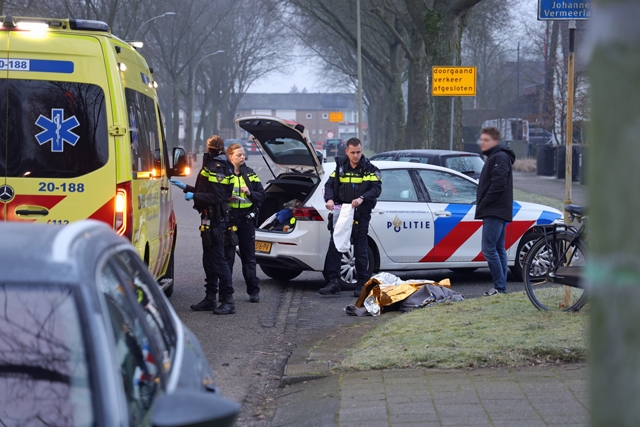 Meisje op fiets raakt gewond bij botsing met auto aan de Frans Halslaan Waalwijk