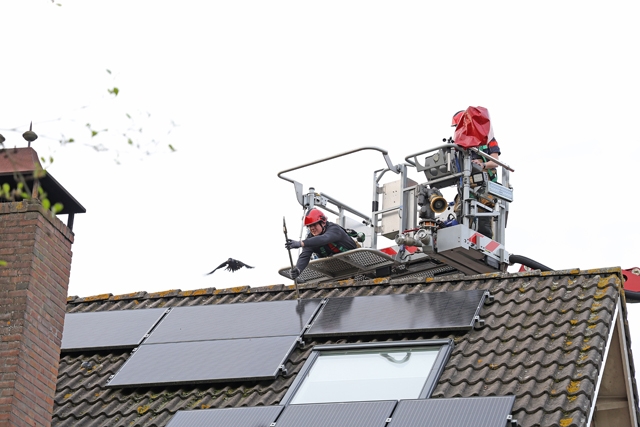 Brandweer rukt uit voor vogel die vast zit tussen zonnepanelen aan de Aletta Jacobsstraat Waalwijk