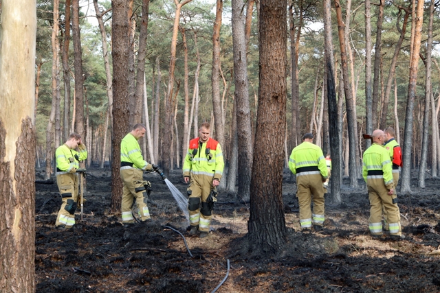 Brandweer blust hotspots na zeer grote bosbrand in Loonse en Drunense Duinen