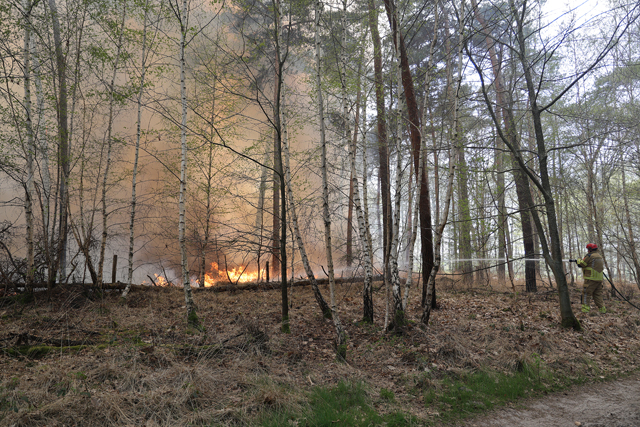 Zeer grote brand in bossen Loonse en Drunense Duinen Waalwijk - Drunen