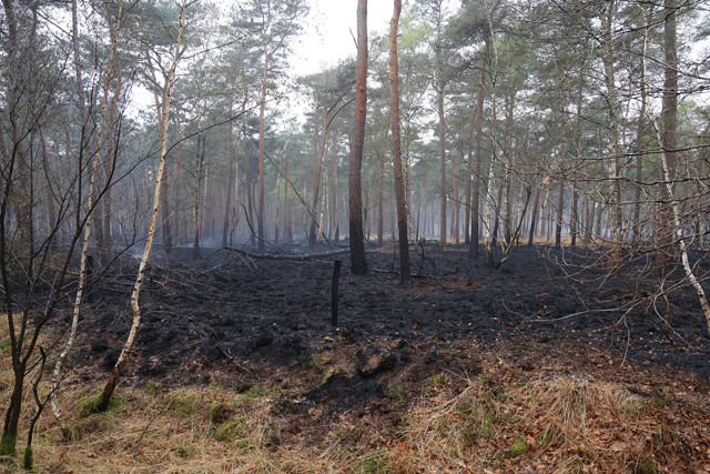 Brandweer nog massaal aanwezig na hele nacht blussen van bosbrand
