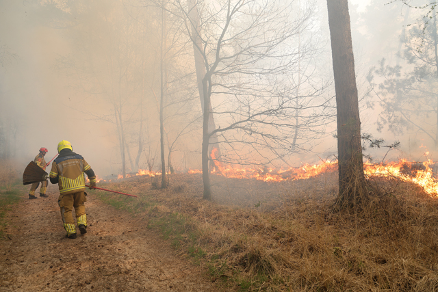 Zeer grote brand in bossen Loonse en Drunense Duinen Waalwijk - Drunen