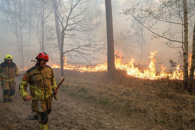 Zeer grote brand in bossen Loonse en Drunense Duinen Waalwijk - Drunen