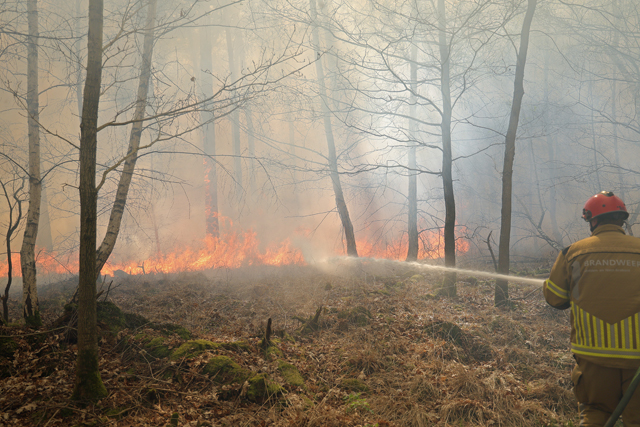 Zeer grote brand in bossen Loonse en Drunense Duinen Waalwijk - Drunen