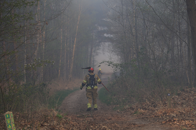 Zeer grote brand in bossen Loonse en Drunense Duinen Waalwijk - Drunen