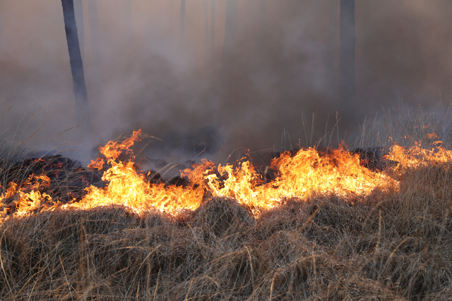 Zeer grote brand in bossen Loonse en Drunense Duinen Waalwijk - Drunen