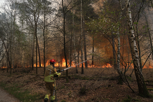 Zeer grote brand in bossen Loonse en Drunense Duinen Waalwijk - Drunen