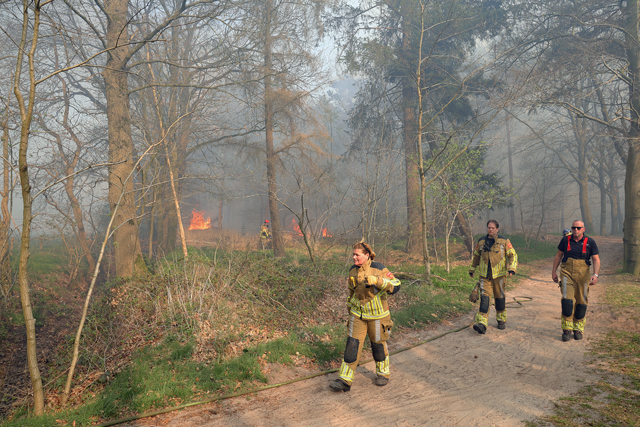 Zeer grote brand in bossen Loonse en Drunense Duinen Waalwijk - Drunen