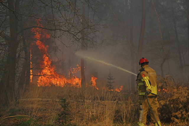 Zeer grote brand in bossen Loonse en Drunense Duinen Waalwijk - Drunen