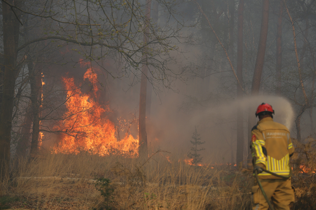 Zeer grote brand in bossen Loonse en Drunense Duinen Waalwijk - Drunen