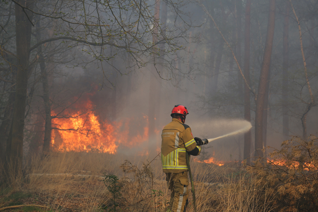 Zeer grote brand in bossen Loonse en Drunense Duinen Waalwijk - Drunen