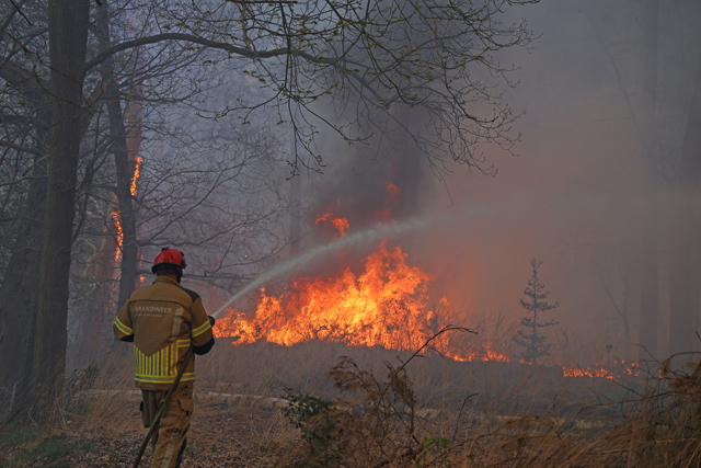 Zeer grote brand in bossen Loonse en Drunense Duinen Waalwijk - Drunen