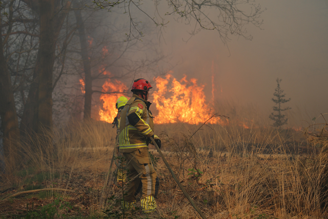 Zeer grote brand in bossen Loonse en Drunense Duinen Waalwijk - Drunen