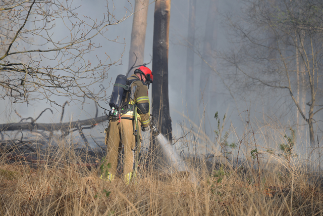 Zeer grote brand in bossen Loonse en Drunense Duinen Waalwijk - Drunen