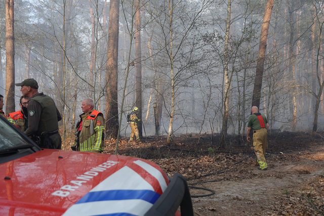 Zeer grote brand in bossen Loonse en Drunense Duinen Waalwijk - Drunen