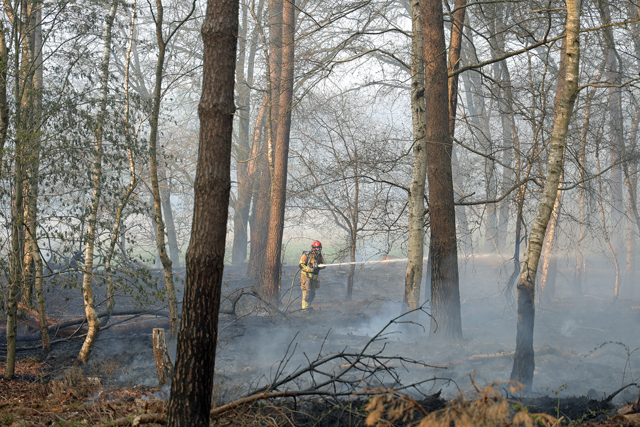 Zeer grote brand in bossen Loonse en Drunense Duinen Waalwijk - Drunen