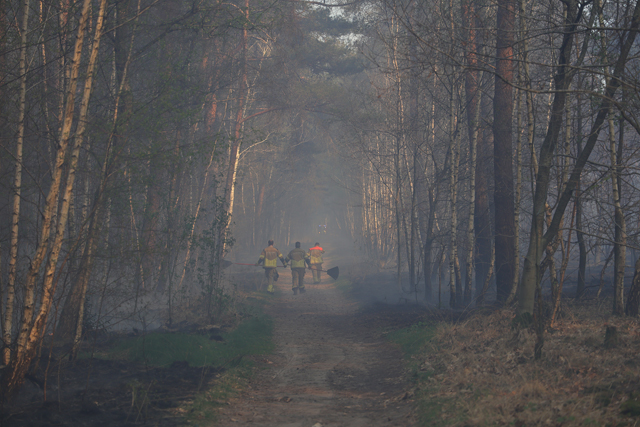 Zeer grote brand in bossen Loonse en Drunense Duinen Waalwijk - Drunen