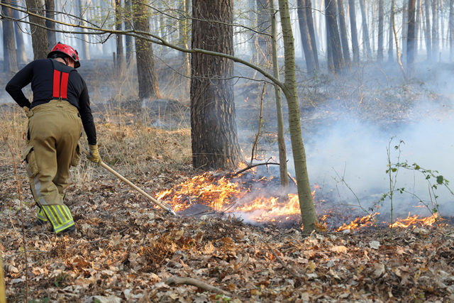 Zeer grote brand in bossen Loonse en Drunense Duinen Waalwijk - Drunen