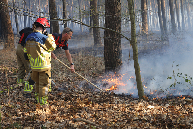 Zeer grote brand in bossen Loonse en Drunense Duinen Waalwijk - Drunen