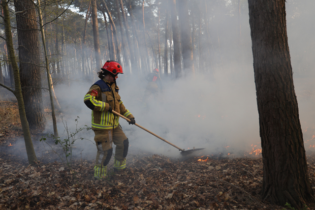 Zeer grote brand in bossen Loonse en Drunense Duinen Waalwijk - Drunen