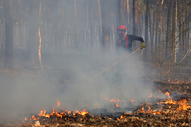 Zeer grote brand in bossen Loonse en Drunense Duinen Waalwijk - Drunen