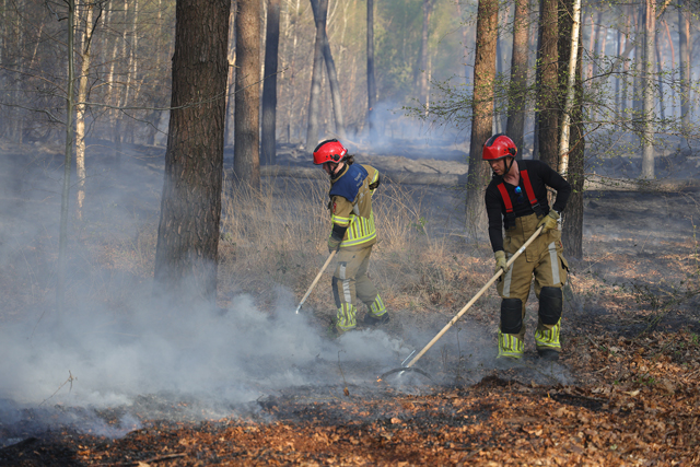 Zeer grote brand in bossen Loonse en Drunense Duinen Waalwijk - Drunen