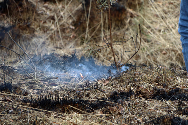 Brandweer blust hotspots na zeer grote bosbrand in Loonse en Drunense Duinen