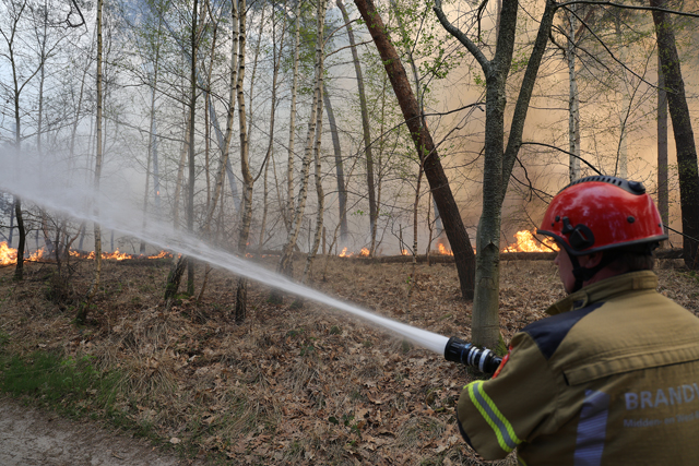Zeer grote brand in bossen Loonse en Drunense Duinen Waalwijk - Drunen