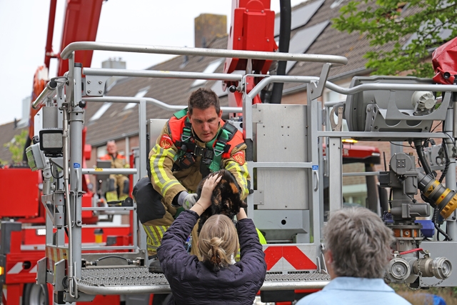 Poes zit uren op dak en wordt gered door de brandweer aan de Touwerij Waalwijk