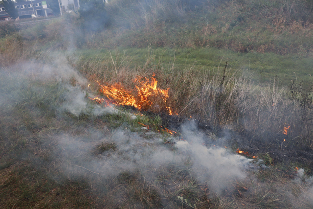 Bermbrand aan Gaardpad in Waalwijk vermoedelijk aangestoken