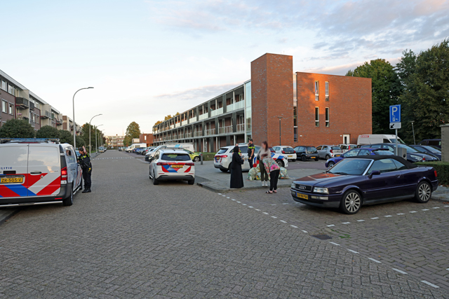 Jongen overmeesterd na poging tot auto-inbraak in Waalwijk