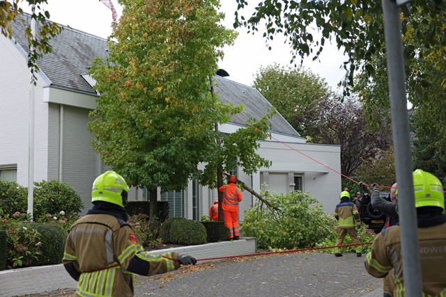Brandweer haalt omvallende boom neer aan Jozef Israëlsstraat in Waalwijk