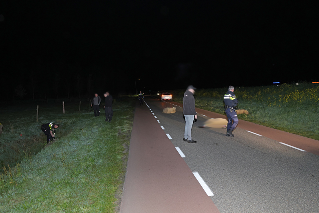 Automobilist rijdt door na aanrijding met kudde schapen op Westeinde: Vier dieren dood