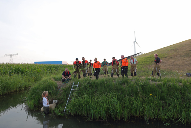 Brandweer schiet te hulp na dappere reddingspoging van wandelaarster voor schaap in sloot