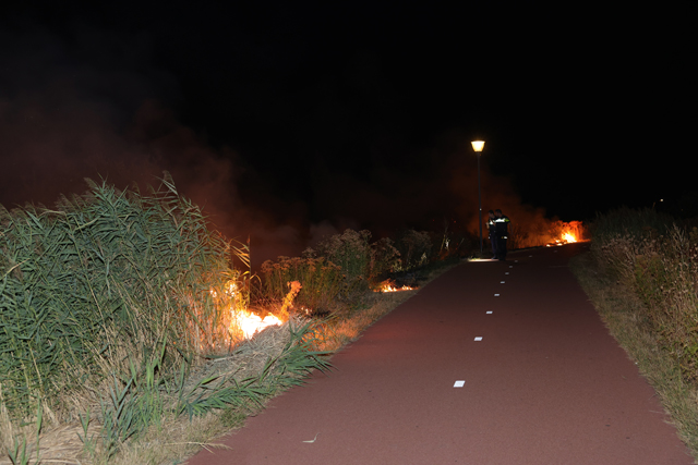 Metershoge vlammen bij bermbranden langs Gaardpad: Politie gaat uit van brandstichting