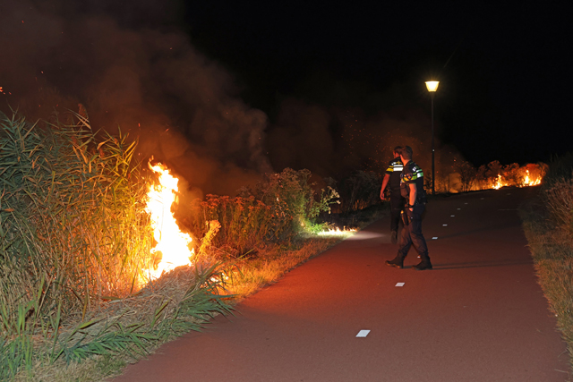 Metershoge vlammen bij bermbranden langs Gaardpad: Politie gaat uit van brandstichting