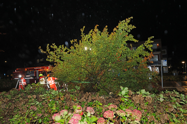 Foto 11