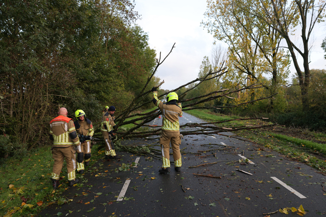 Storm Boelo slaat toe: Omgevallen boom blokkeert Gansoyensesteeg in Waalwijk